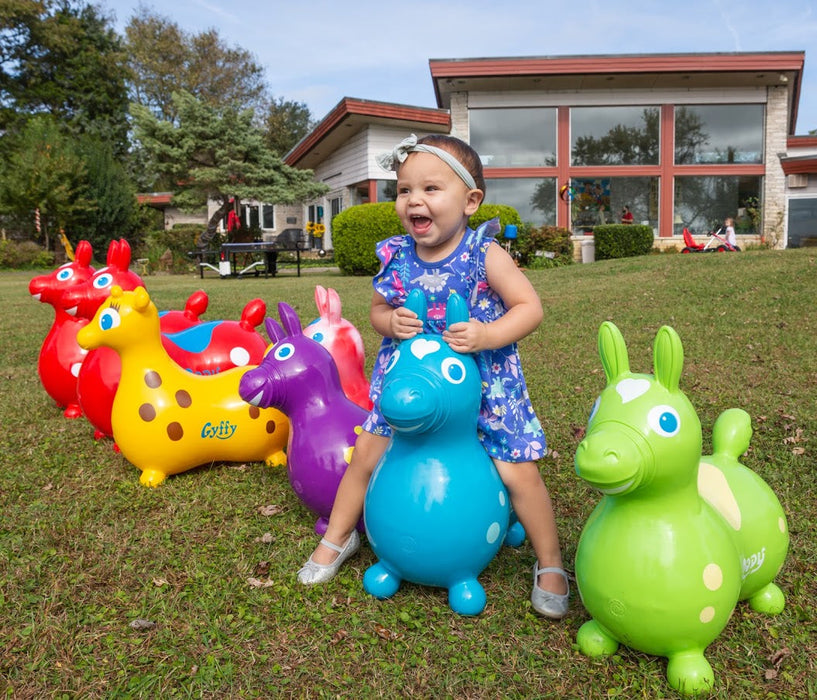 Rody Horse Purple