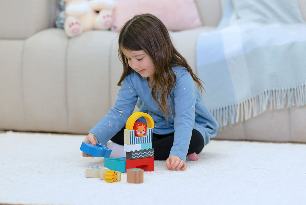 Wooden Shape & Animal Blocks