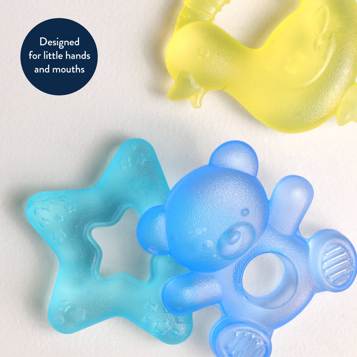 Cutie Coolers™- Bears