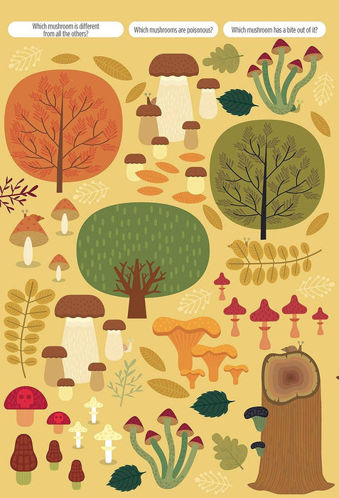 Find Me! Adventures in the Forest-Hidden Picture Activity Book