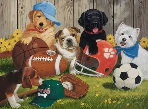 Let's Play Ball 200pc Puzzle