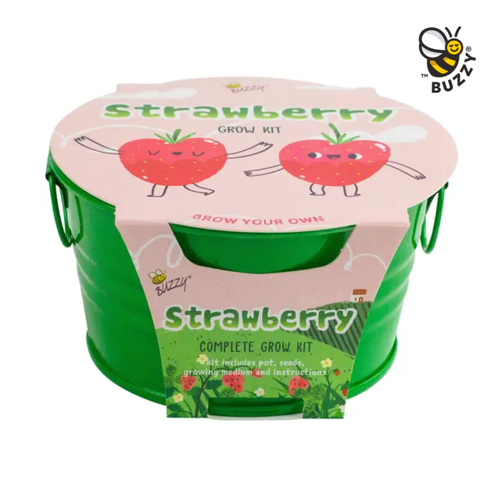 Kids Mini Basin Strawberry Grow Kit