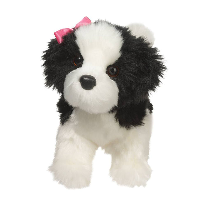 Poofy Shih Tzu Black + White