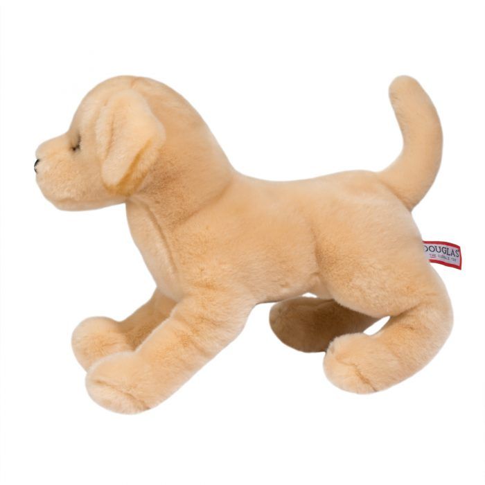 Mandy Yellow Lab