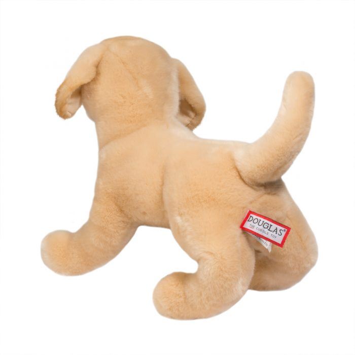 Mandy Yellow Lab