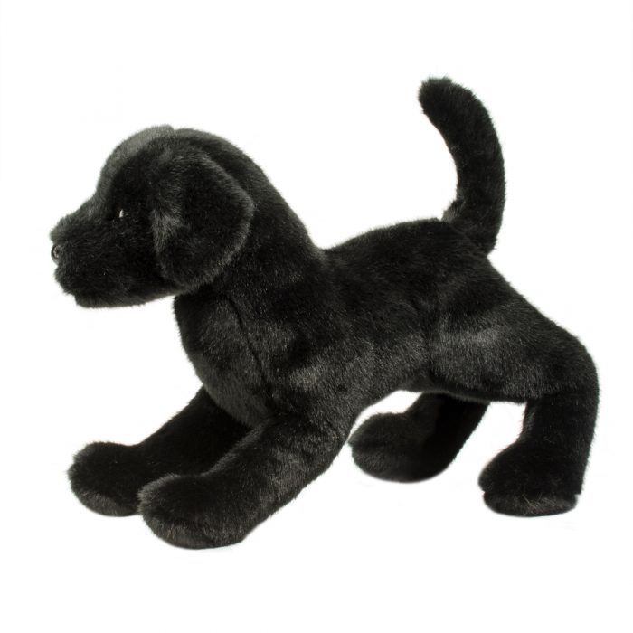 Chester Black Lab
