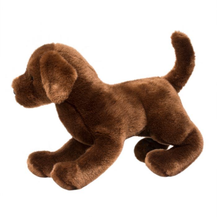 Cocoa Chocolate Lab