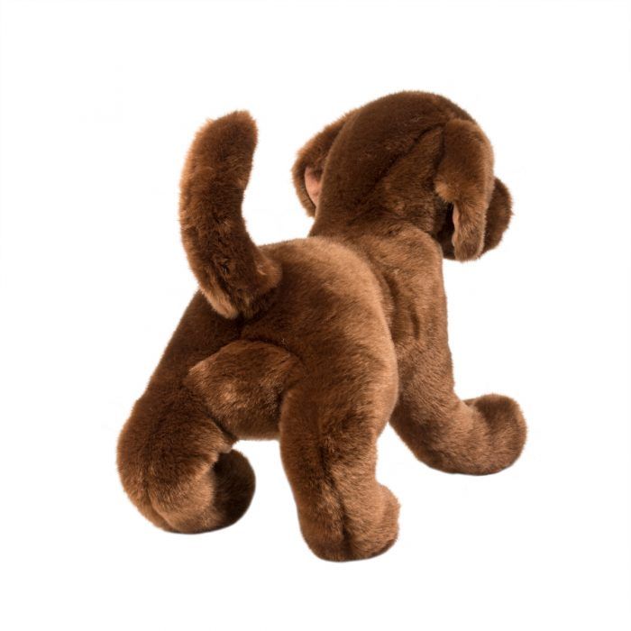 Cocoa Chocolate Lab