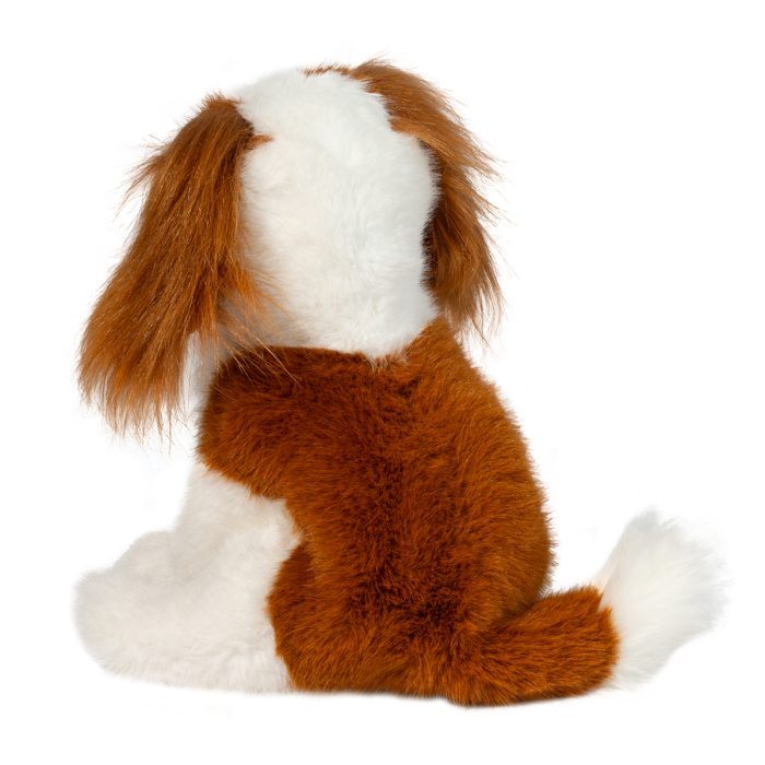 Kingsley Cavalier King Charles Spaniel