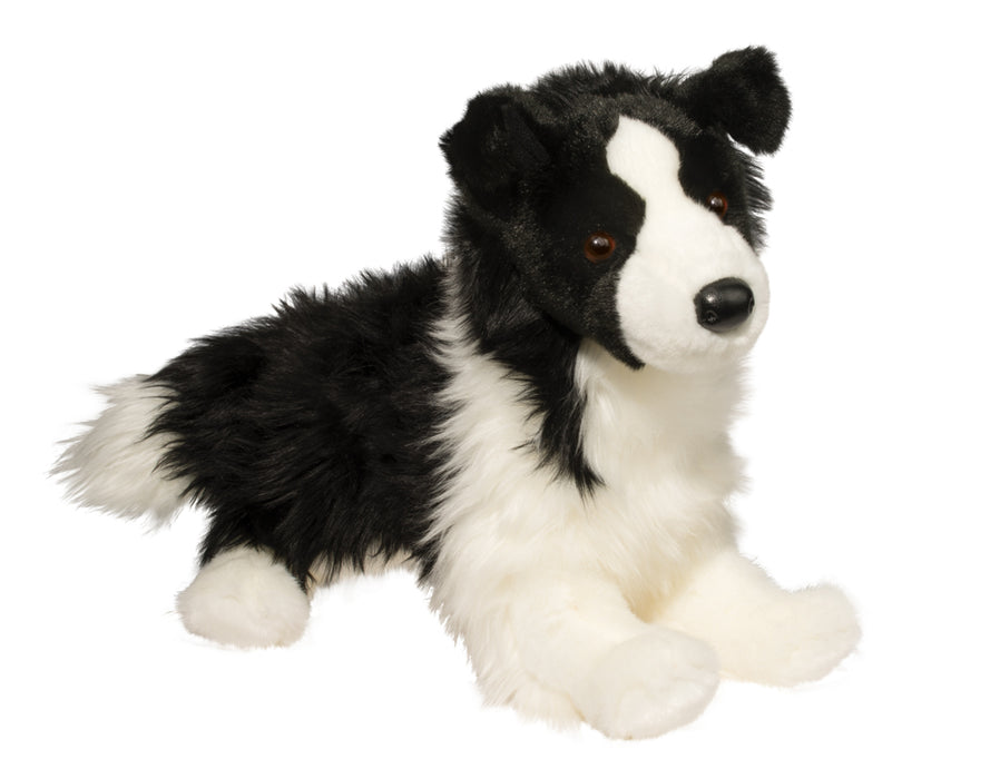 Chase Border Collie