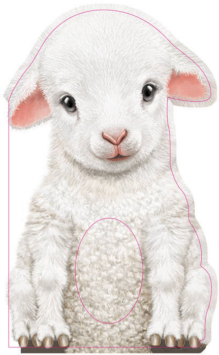 Furry Lamb Board Book