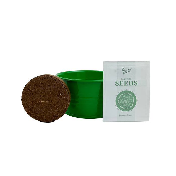 Kids Mini Basin Strawberry Grow Kit