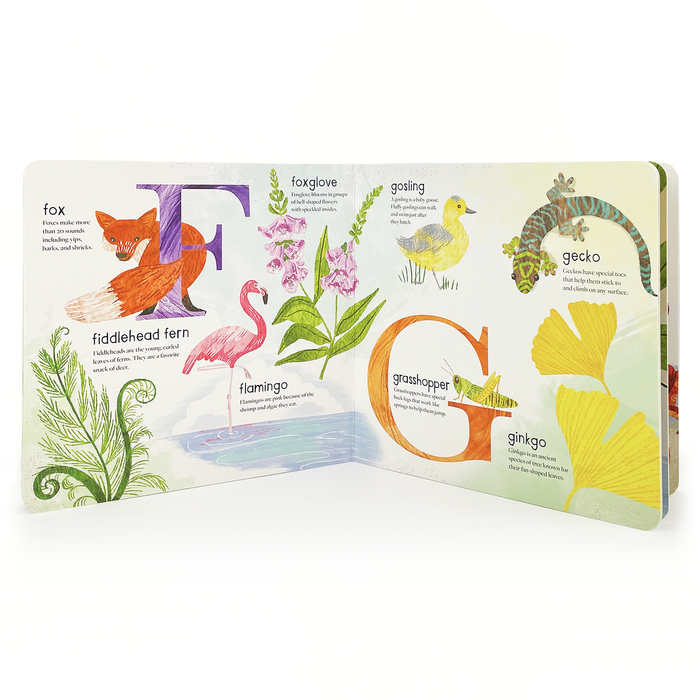 ABC of Nature: A Wild & Wonderful Alphabet