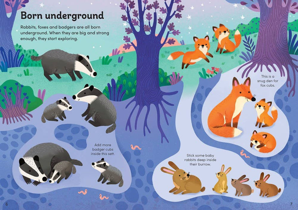 Little First Stickers Baby Animals : Usborne