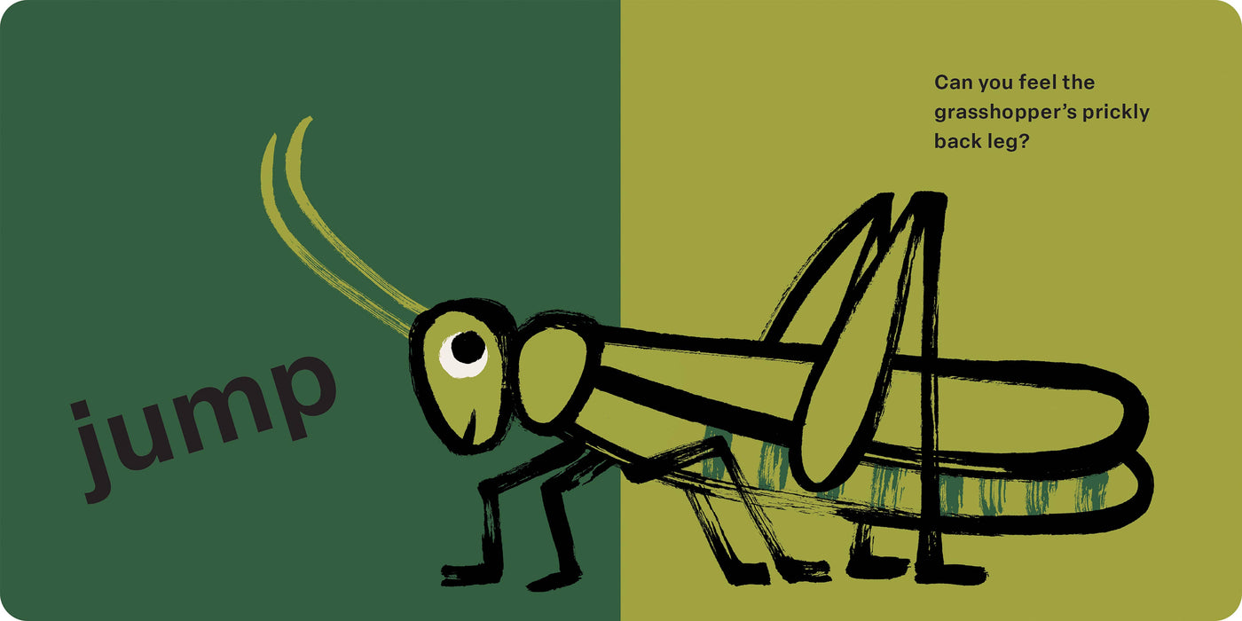 Spring Street Touch and Feel: Bugs by Boxer Books
