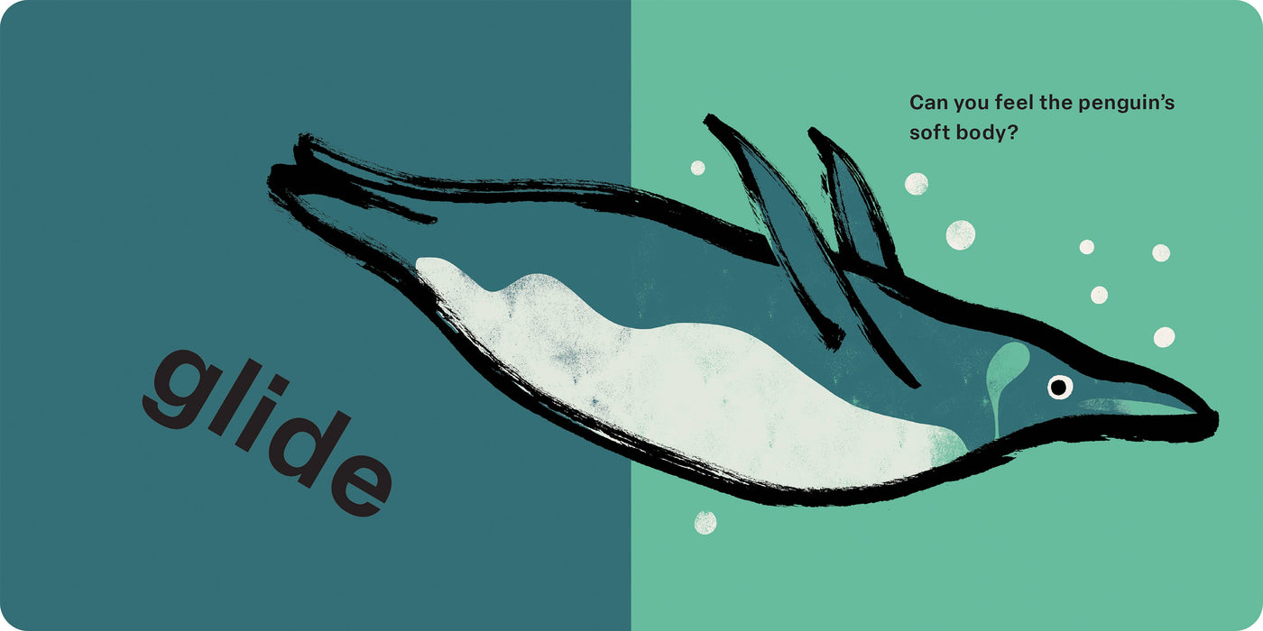 Spring Street Touch and Feel: Ocean by Boxer Books