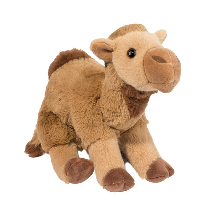 Gobi Camel