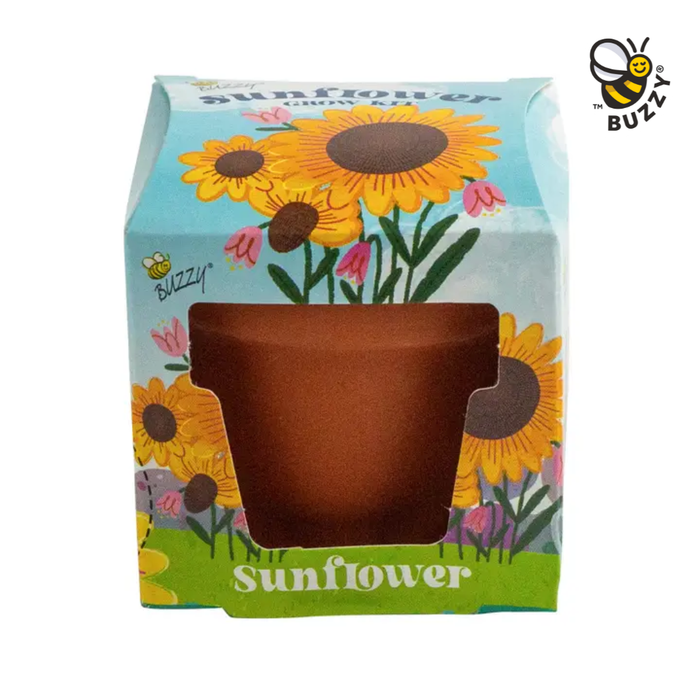 Kids Mini Terracotta Sunflower Grow Kit