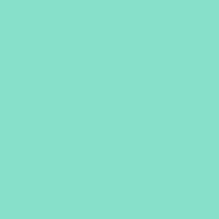 Piggy Paint- Sea Ya Later