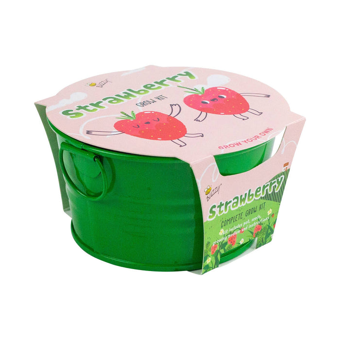 Kids Mini Basin Strawberry Grow Kit