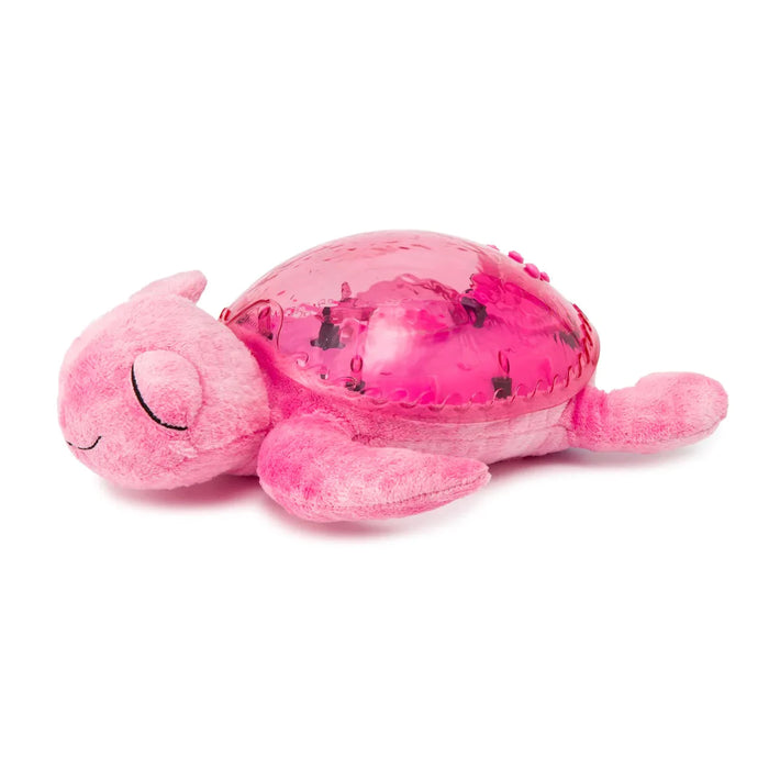 Tranquil Turtle