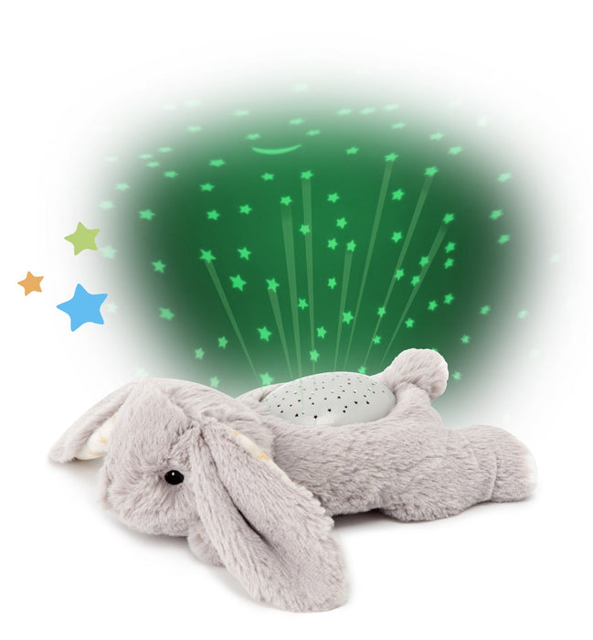 Dream Buddies- Benny Bunny