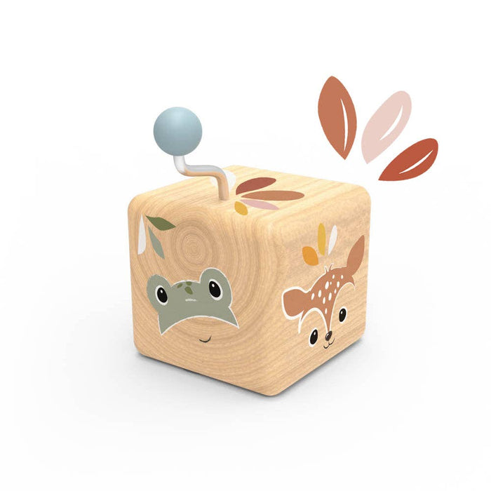 Music boxes