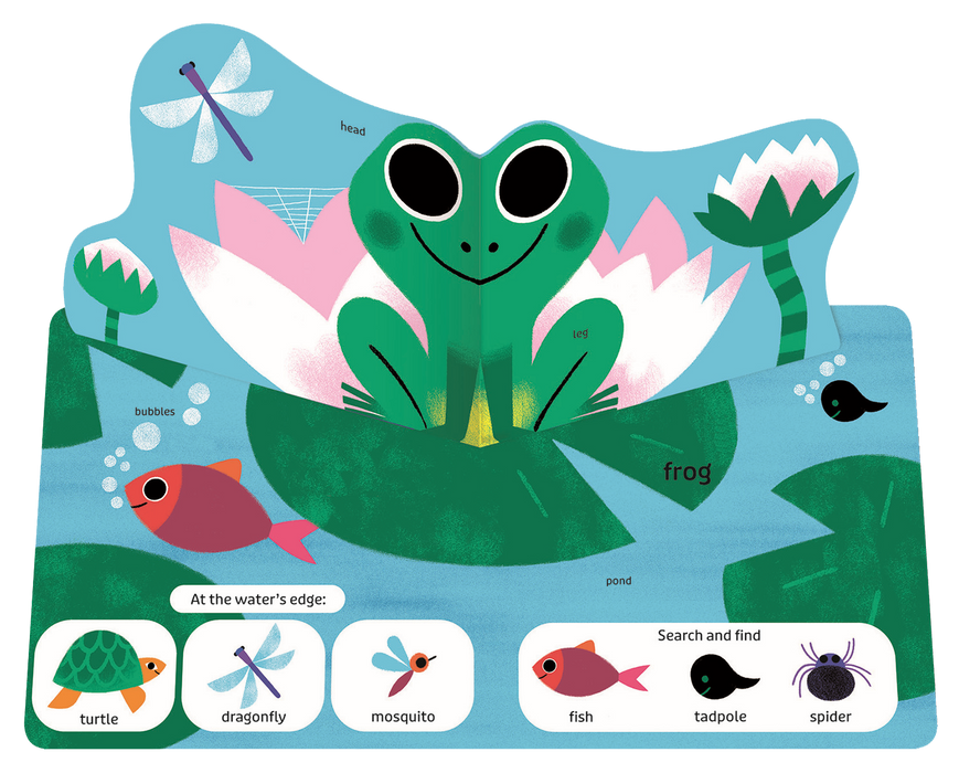 Pop Pop Pop: Bugs and Other Small Things