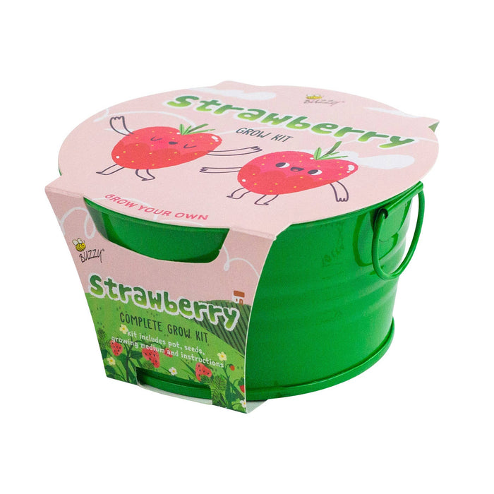 Kids Mini Basin Strawberry Grow Kit