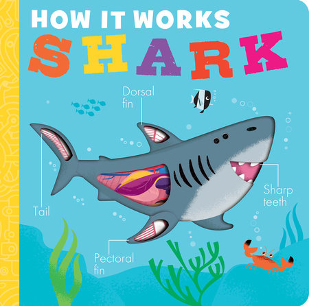 How It Works- Shark