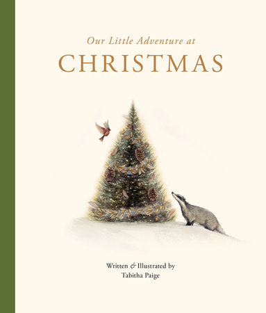 Our Little Adventure at Christmas