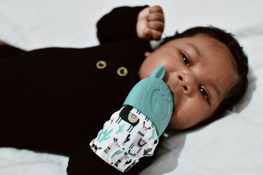 Itzy Mitt- Fox