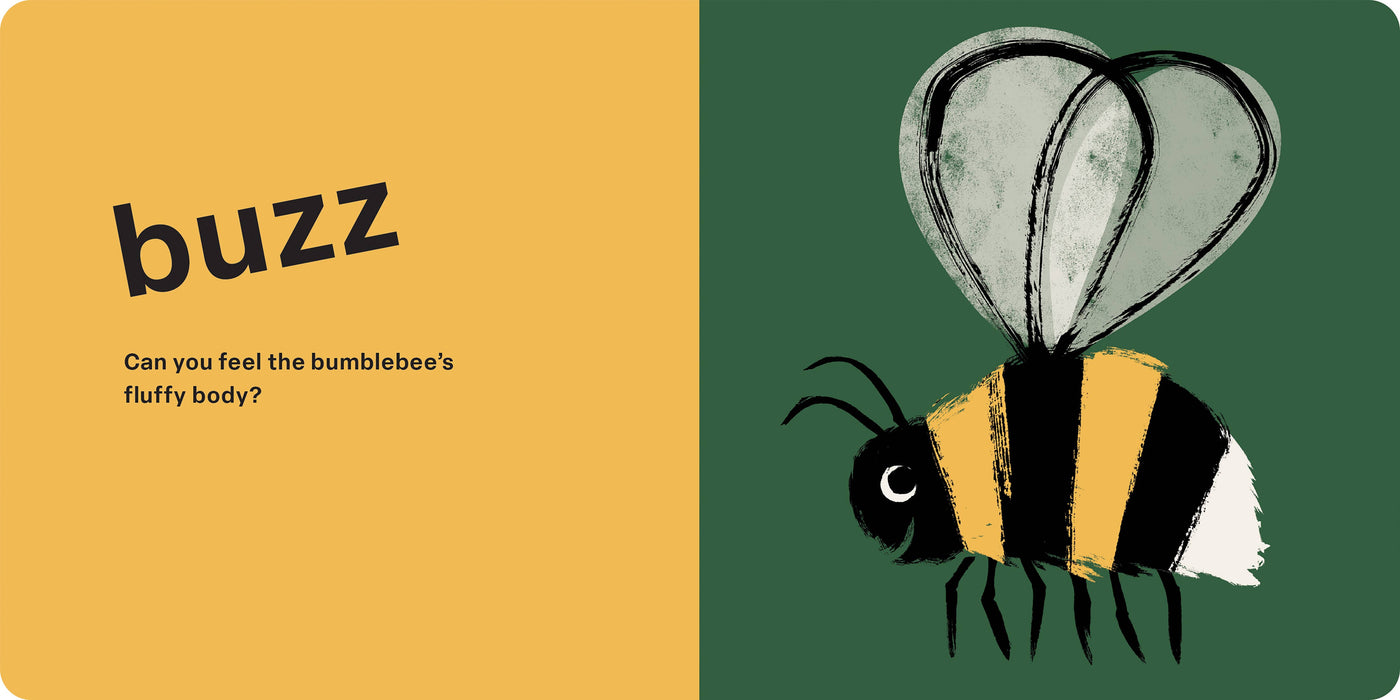Spring Street Touch and Feel: Bugs by Boxer Books