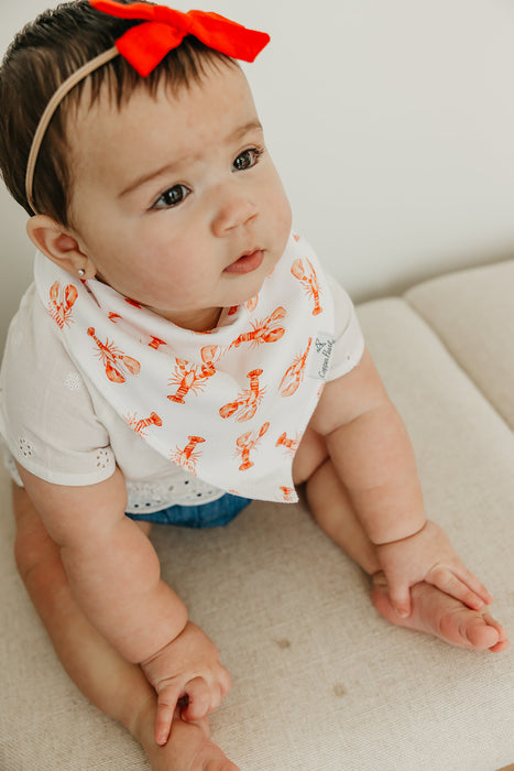Bandana Bib 4pk- Fischer