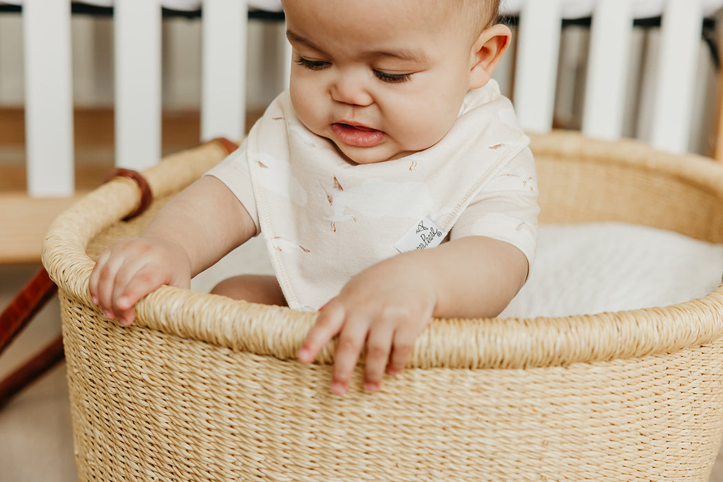 Bandana Bib 4pk- Fischer