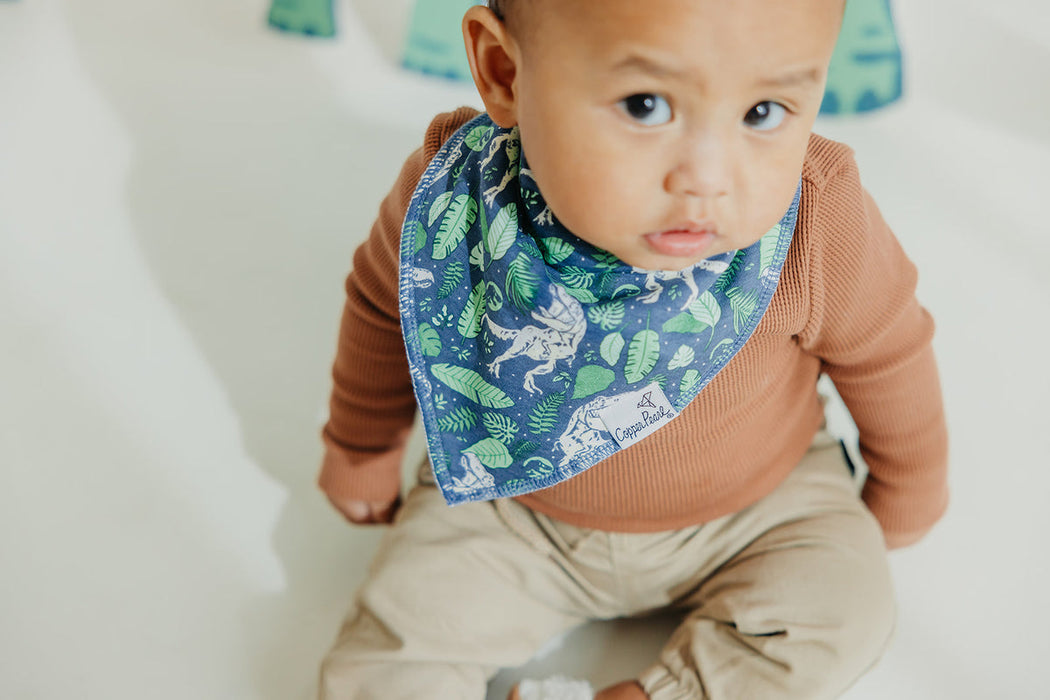Bandana Bib 4pk- Jurassic Park