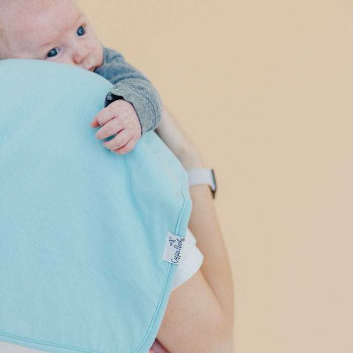 Burp Cloth 3pk- Bennie