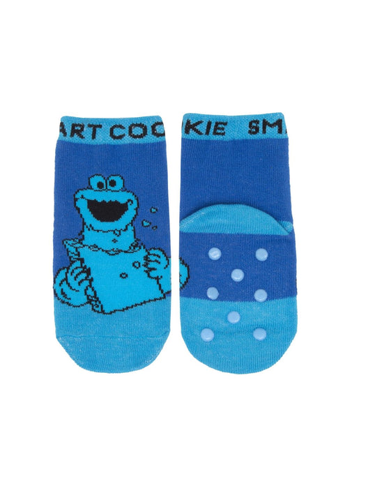 Sesame Street Socks