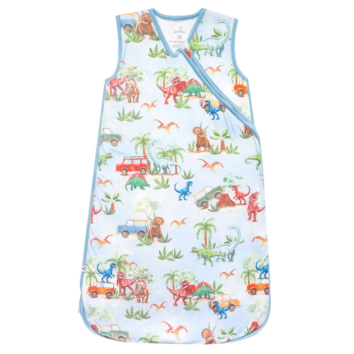Sleep Bag- Dino Explorer
