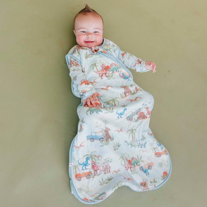 Sleep Bag- Dino Explorer