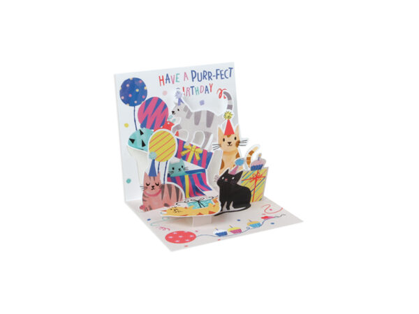 Pop Up Greeting Card- Trinket