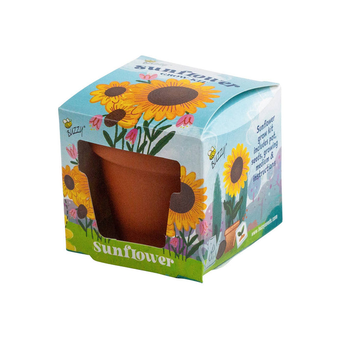 Kids Mini Terracotta Sunflower Grow Kit