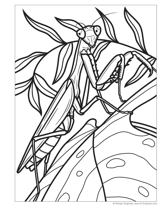Coloring Book - Super Cool Bugs and Spiders