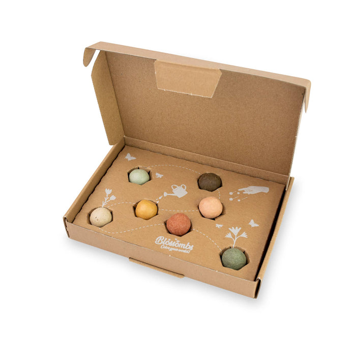 “Dear Teacher” Seed Bomb Box