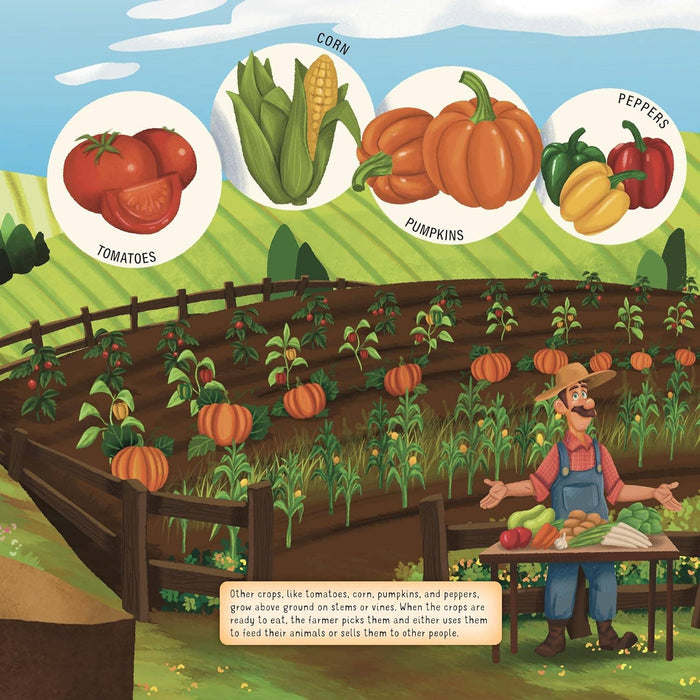 Discovering the Busy Life on the Farm - Layered Board Book