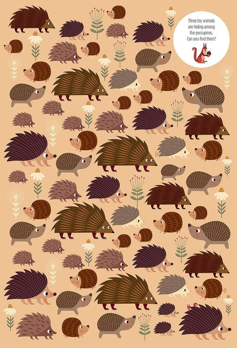 Find Me! Adventures in the Forest-Hidden Picture Activity Book