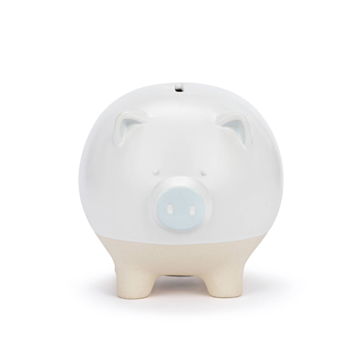 Blue Piggy Bank