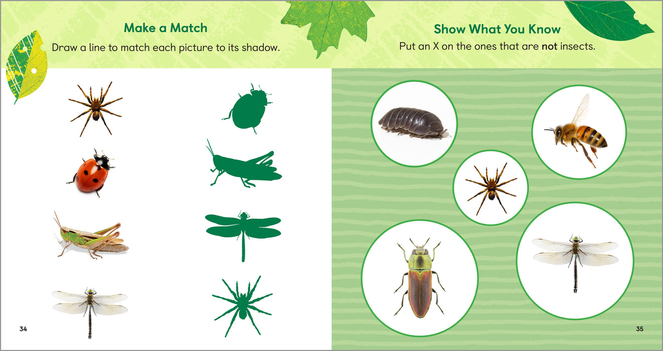 Backyard Bug Book for Kids