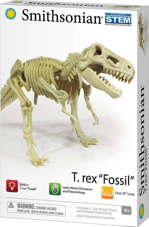 Smithsonian Dinosaur Fossils Trex Value Set — Mother and Earth Kids