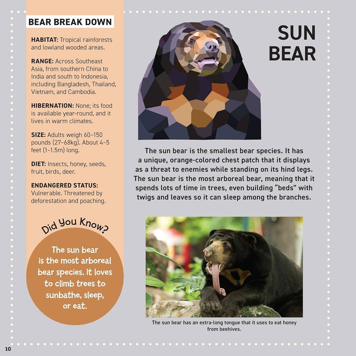 My Sticker Paintings: Bears - 10 Majestic Works of Art